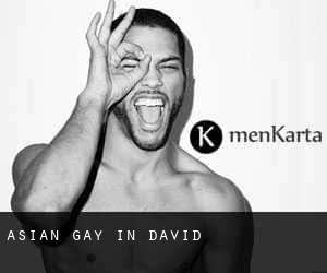 Asian Gay in David