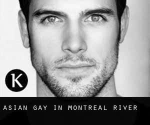 Asian Gay in Montreal River