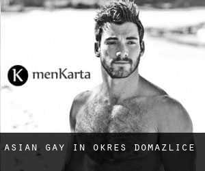 Asian Gay in Okres Domažlice