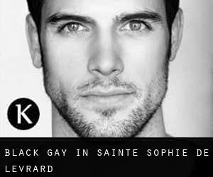 Black Gay in Sainte-Sophie-de-Lévrard