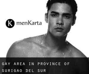 Gay Area in Province of Surigao del Sur