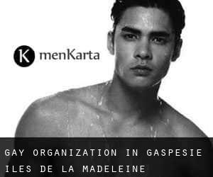 Gay Organization in Gaspésie-Îles-de-la-Madeleine