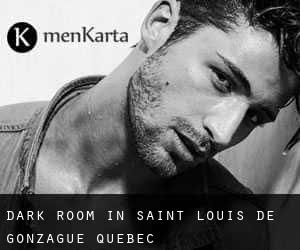 Dark Room in Saint-Louis-de-Gonzague (Quebec)