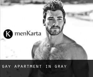 Gay Apartment in Gray