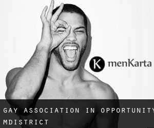 Gay Association in Opportunity M.District