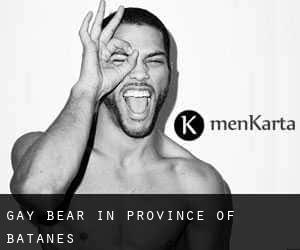 Gay Bear in Province of Batanes