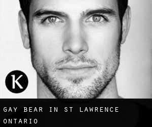 Gay Bear in St. Lawrence (Ontario)