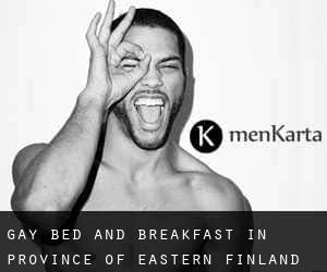 Gay Bed and Breakfast in Province of Eastern Finland
