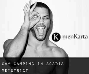 Gay Camping in Acadia M.District