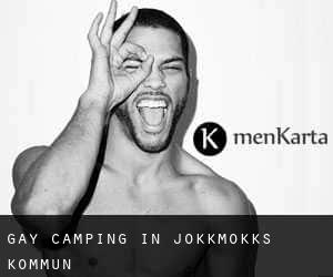 Gay Camping in Jokkmokks Kommun