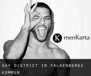 Gay District in Falkenbergs Kommun