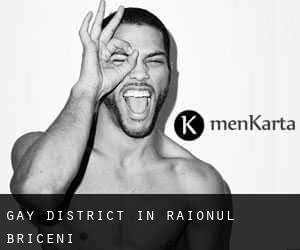 Gay District in Raionul Briceni