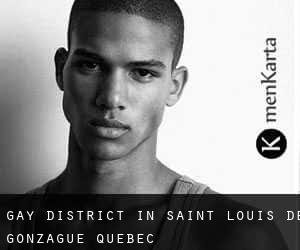 Gay District in Saint-Louis-de-Gonzague (Quebec)