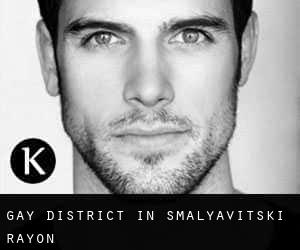 Gay District in Smalyavitski Rayon