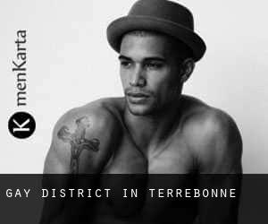 Gay District in Terrebonne