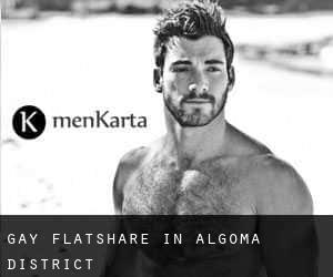 Gay Flatshare in Algoma District