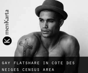 Gay Flatshare in Côte-des-Neiges (census area)