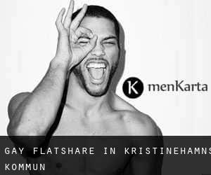 Gay Flatshare in Kristinehamns Kommun