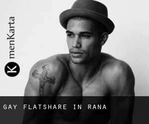 Gay Flatshare in Rana