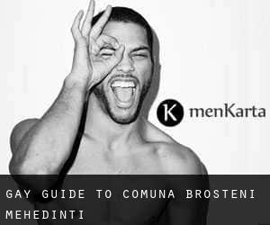 gay guide to Comuna Broşteni (Mehedinţi)