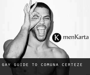 gay guide to Comuna Certeze