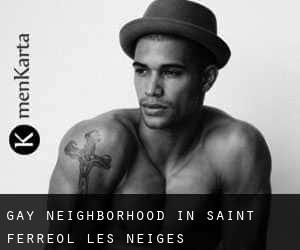 Gay Neighborhood in Saint-Ferreol-les-Neiges