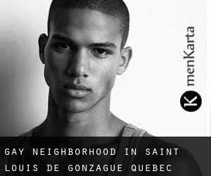 Gay Neighborhood in Saint-Louis-de-Gonzague (Quebec)