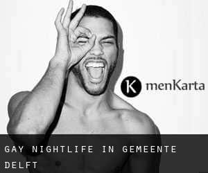 Gay Nightlife in Gemeente Delft