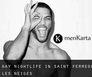 Gay Nightlife in Saint-Ferreol-les-Neiges