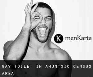 Gay Toilet in Ahuntsic (census area)