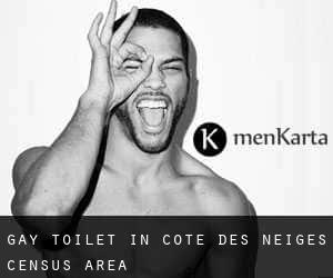 Gay Toilet in Côte-des-Neiges (census area)