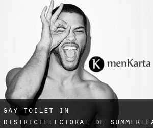 Gay Toilet in Districtélectoral de Summerlea