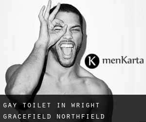 Gay Toilet in Wright-Gracefield-Northfield