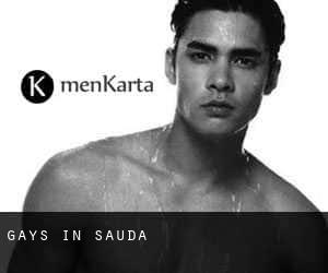 Gays in Sauda