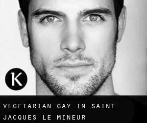 Vegetarian Gay in Saint-Jacques-le-Mineur
