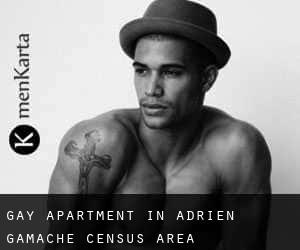 Gay Apartment in Adrien-Gamache (census area)
