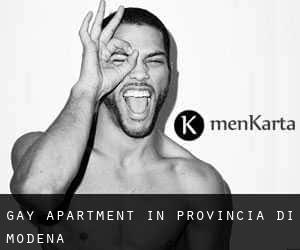 Gay Apartment in Provincia di Modena
