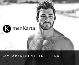 Gay Apartment in Utena