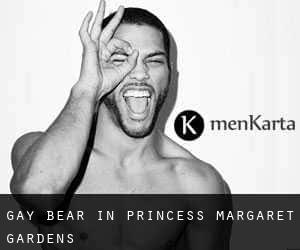 Gay Bear in Princess Margaret Gardens