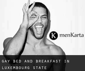 Gay Bed and Breakfast in Luxembourg (State)