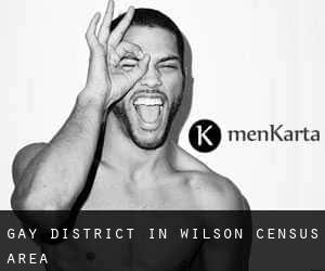 Gay District in Wilson (census area)