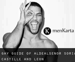 gay guide of Aldealseñor (Soria, Castille and León)