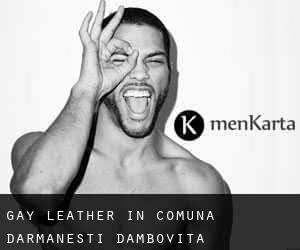 Gay Leather in Comuna Dărmăneşti (Dâmboviţa)