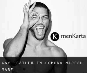 Gay Leather in Comuna Mireşu Mare