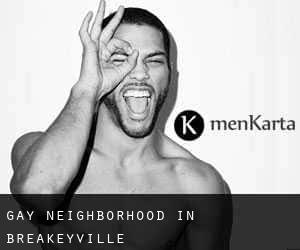 Gay Neighborhood in Breakeyville