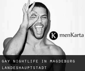 Gay Nightlife in Magdeburg Landeshauptstadt