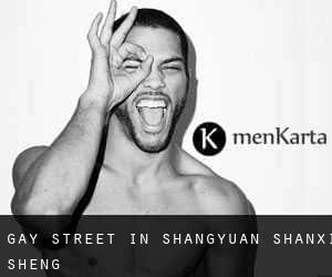 Gay Street in Shangyuan (Shanxi Sheng)