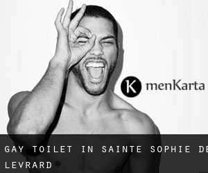 Gay Toilet in Sainte-Sophie-de-Lévrard
