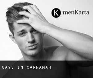 Gays in Carnamah