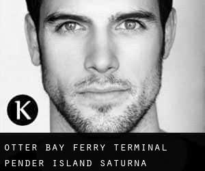 Otter Bay Ferry Terminal Pender Island (Saturna)